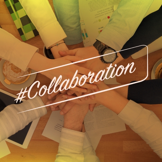 Branding & Collaborations